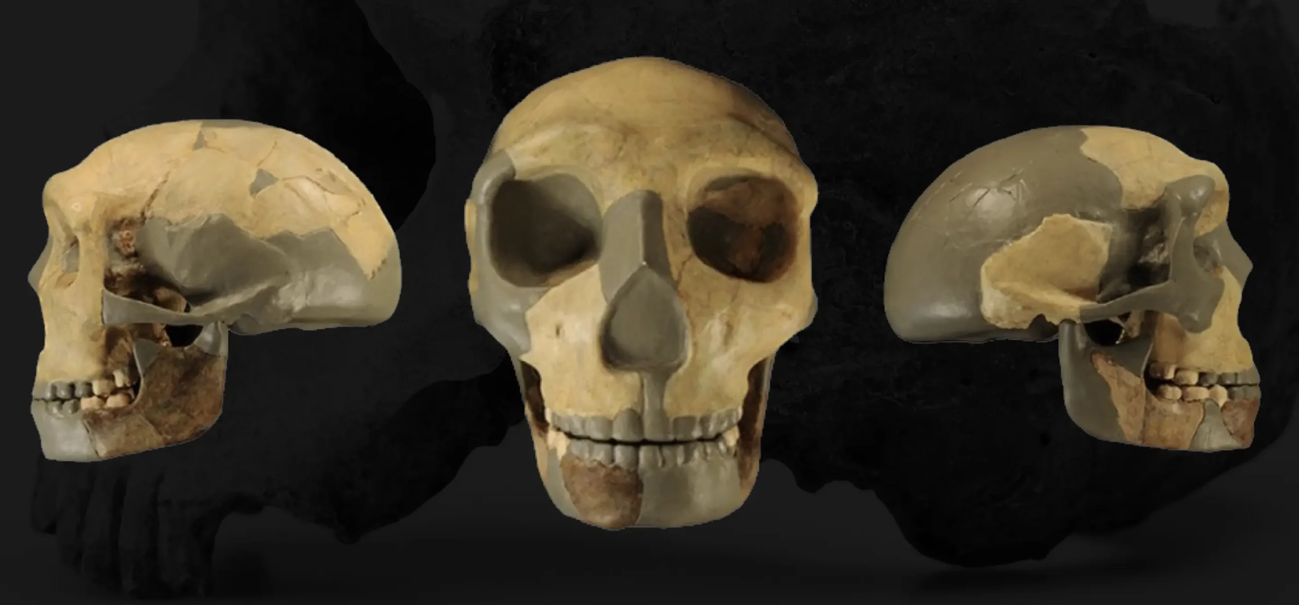 Ancient Skull Discovery in China Raises New Questions on human Evolution
