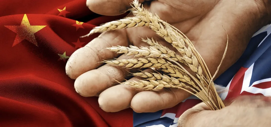 ‎China Ends Barley Tariffs, Australia Seeks Trade Resolution_1080p