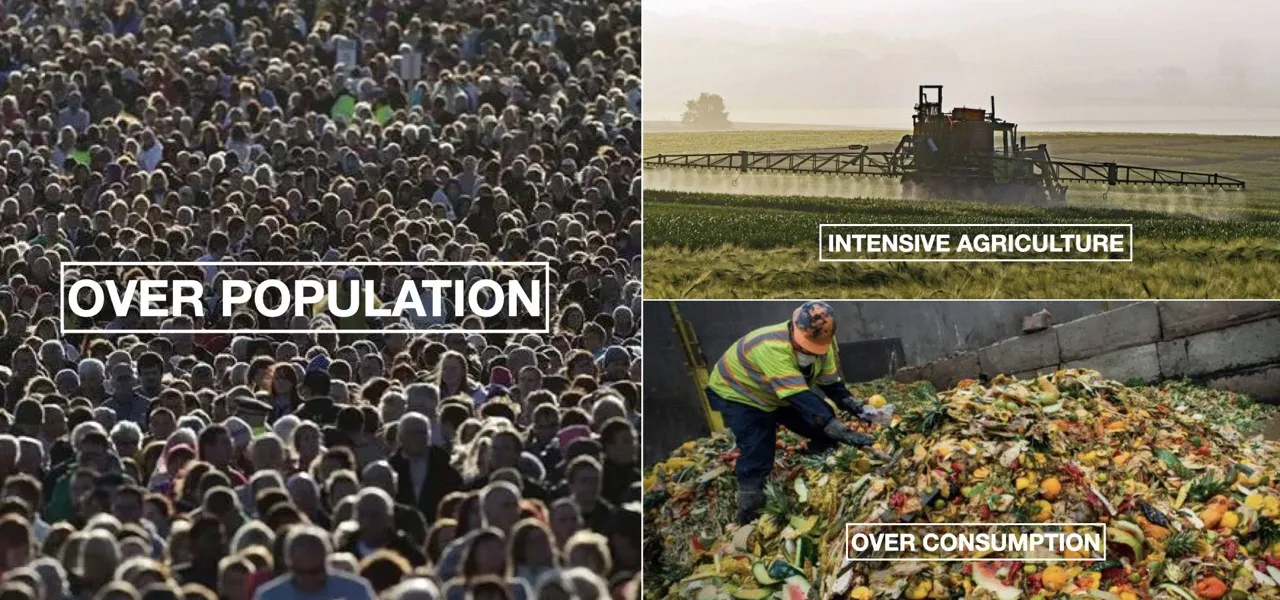 ‎OVER POPULATION OVER CONSUMPTION INTENSIVE AGRICULTURE.‎001_1280p